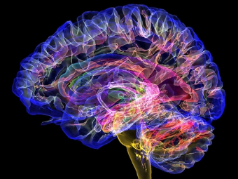 色打炮插逼视频大脑植入物有助于严重头部损伤恢复